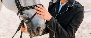 Tipos de embocaduras para caballos Tipos de embocaduras para caballos