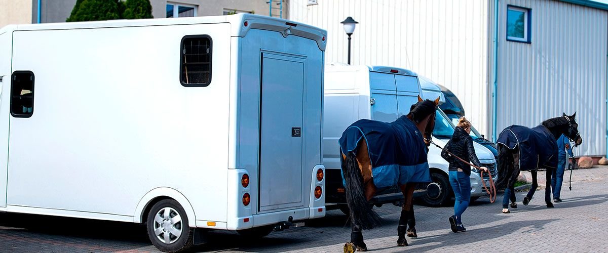 Inicio transporte de caballos - Inicio